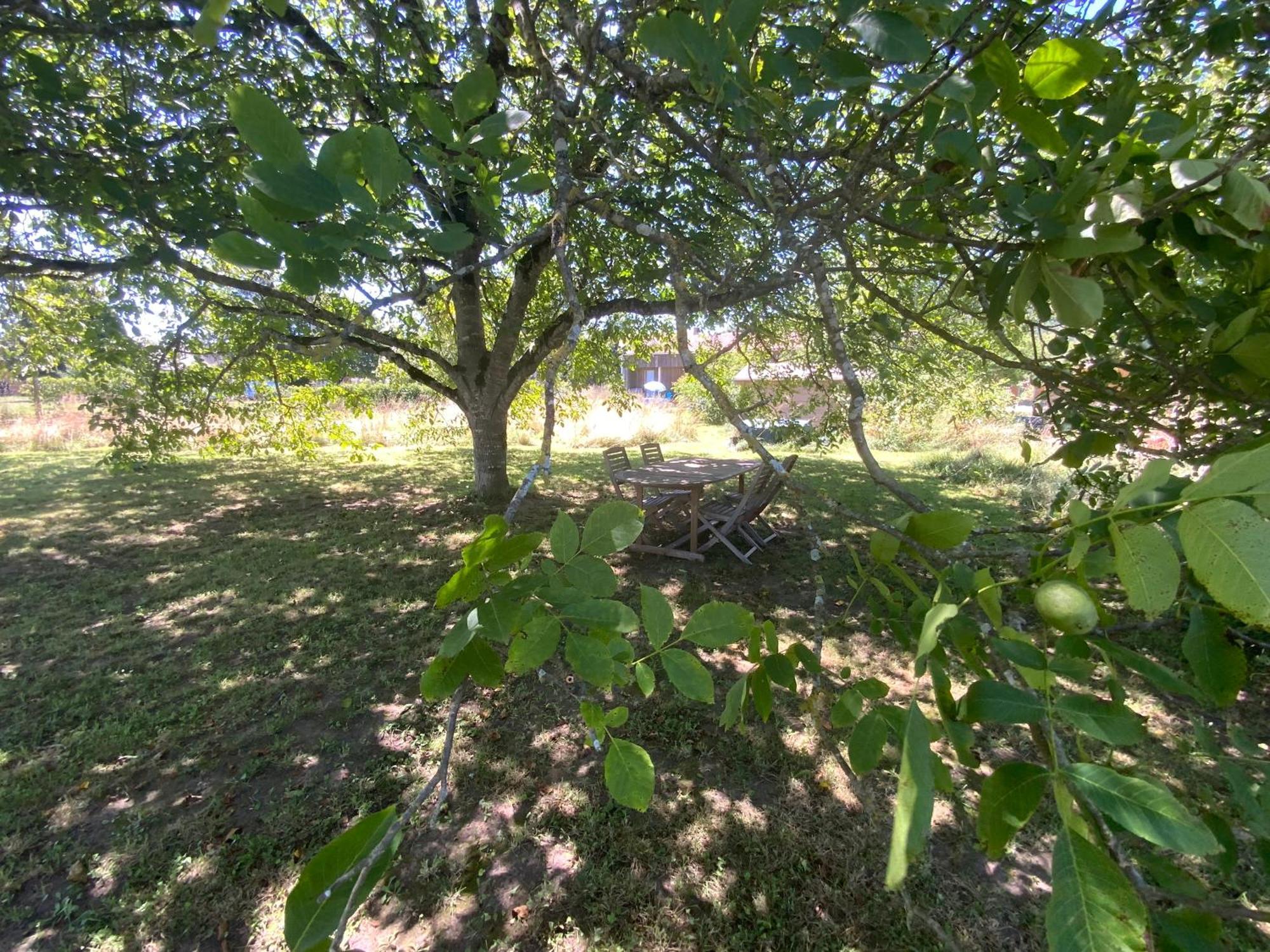 Gite Wildflower Lane Valojoulx المظهر الخارجي الصورة