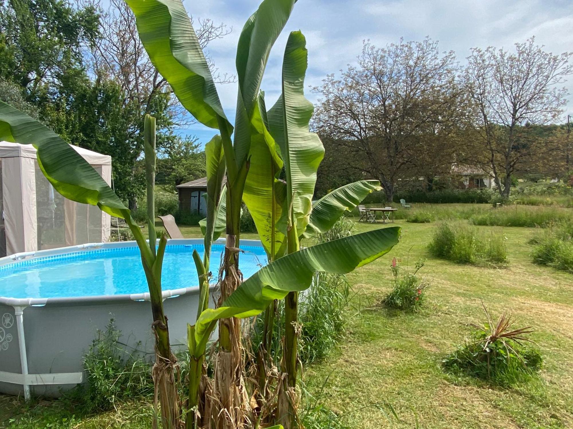 Gite Wildflower Lane Valojoulx المظهر الخارجي الصورة